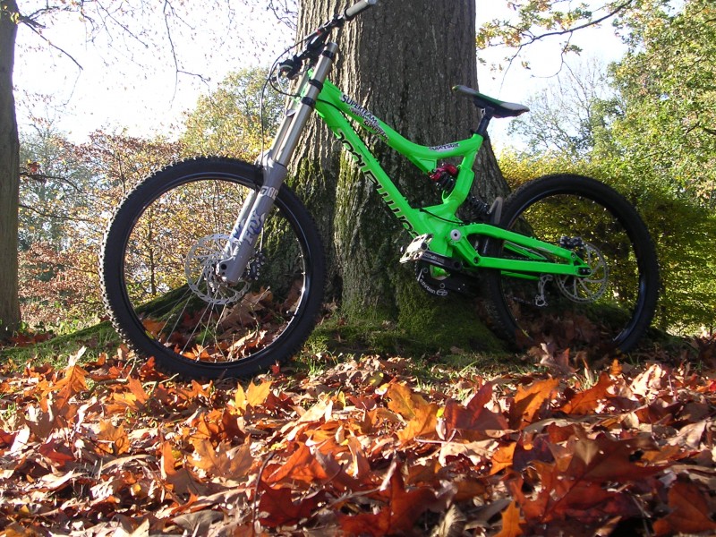 Autumn's definately arrived so here are some nice shots of my 2008 Commencal supreme DH superteam before it gets splattered with the winter mud!