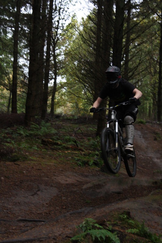 Forest of dean track.