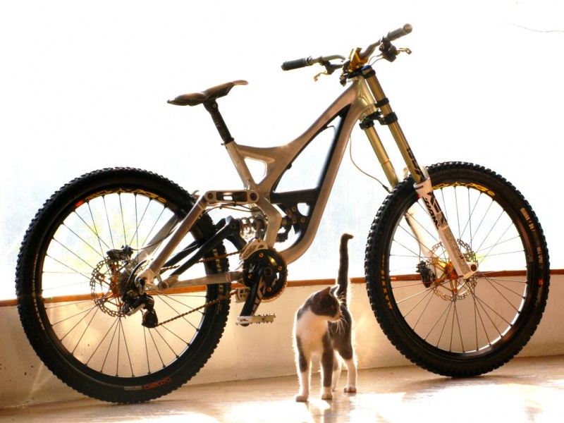my trusty 3 year old bike (rawing™) and little cat (bubu™)