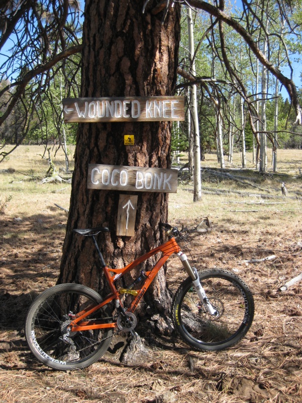 XC mode - high seat - regular post