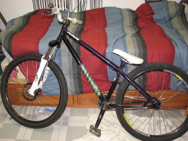 2008 Specialized P.1
size long