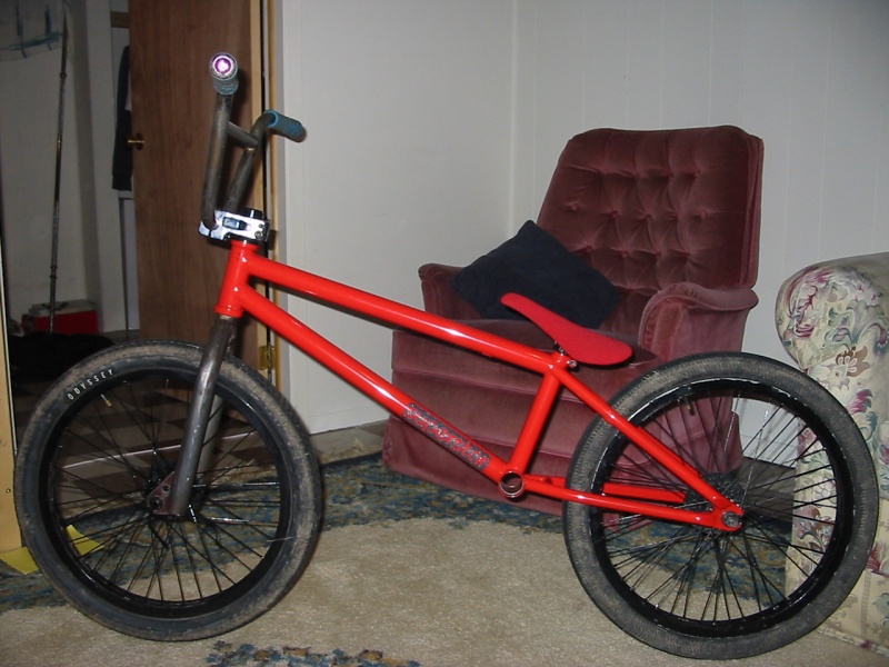 superstar cooper frame and eclat seat just came in.