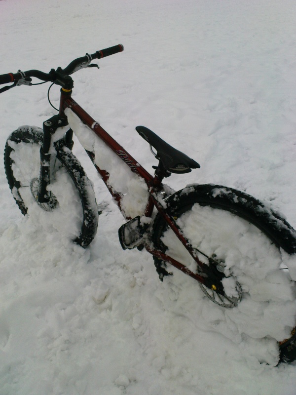My snowbike, it's always fun to ride in the snow