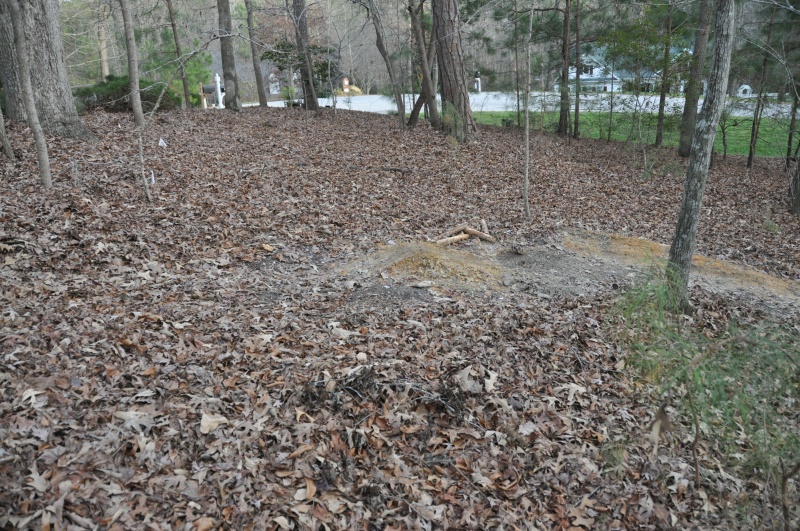 new trail.. sorry bout the side ways pics.. idk how to fix that they look fine in preview but here they are flipped.. help.