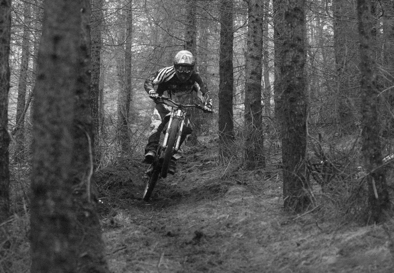 gritty shot of ant at speed, enjoyed this wee section.