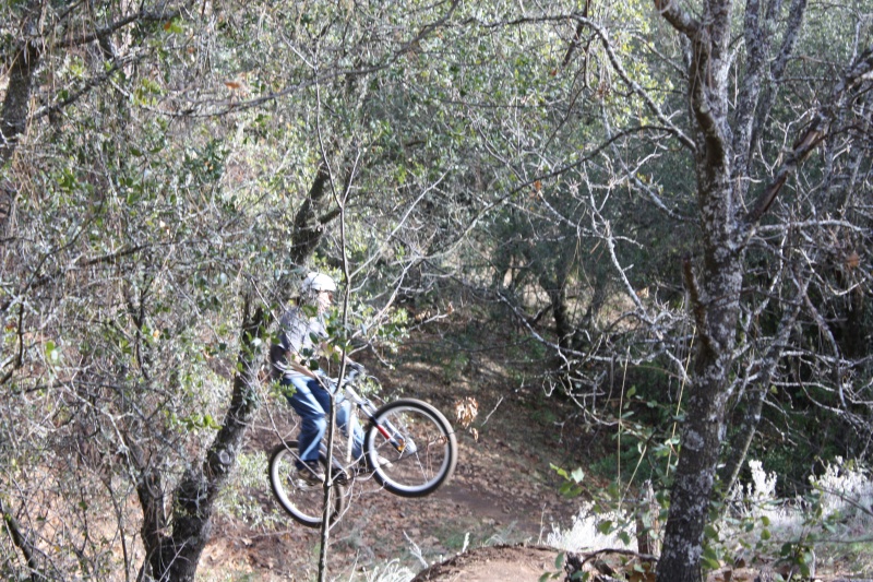 whip in the trees