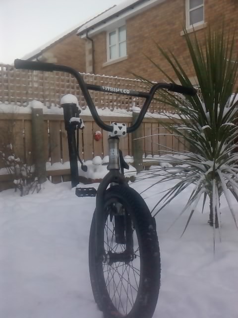 my bike