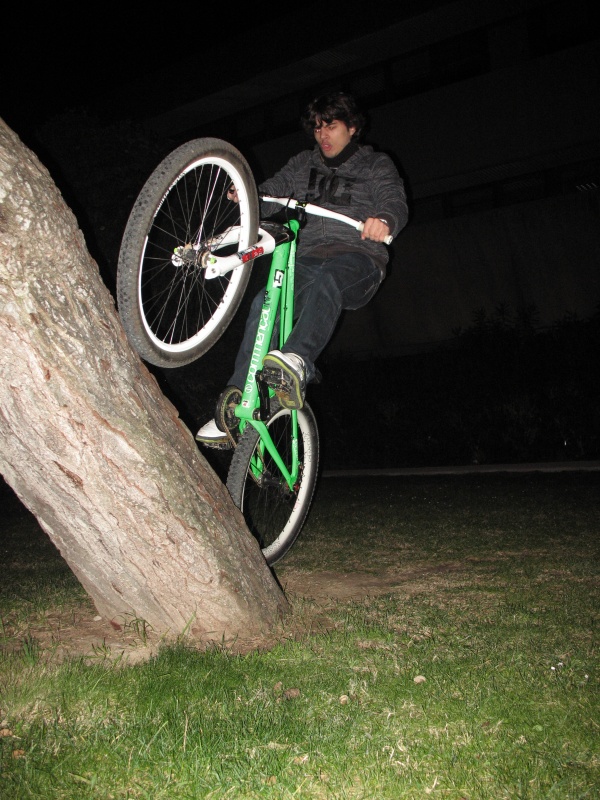 Me, trying to climb a tree ^^