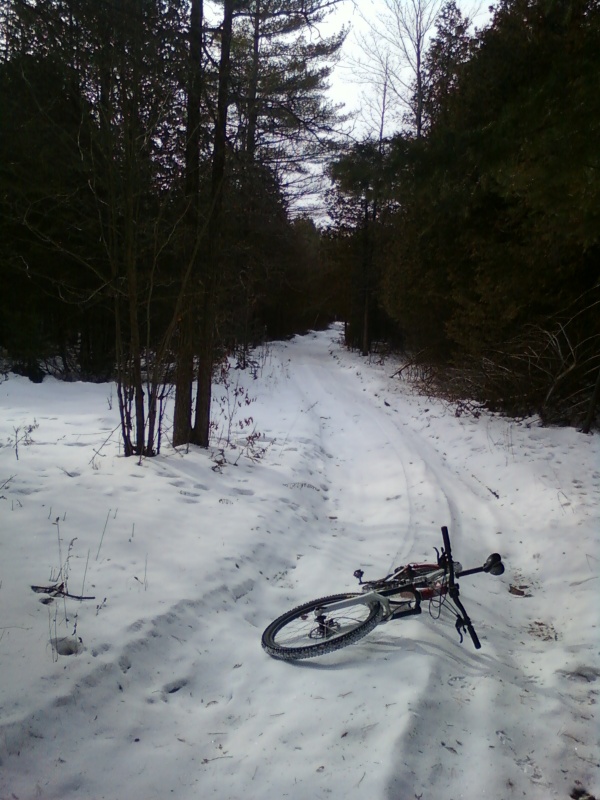 Out for ride number 6 this year on some new (to me) farm roads and Skido trails.