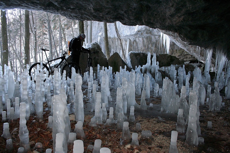 Ice forest.