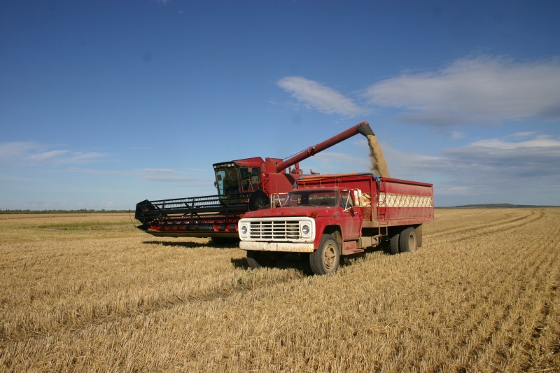 Farming on the Canadian Prairies (Case IH 1688 and 1976 Ford F600)