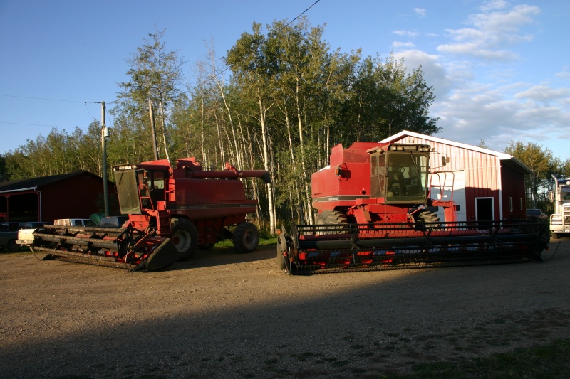 Farming on the Canadian Prairies (Case IH 1688 and 1660)