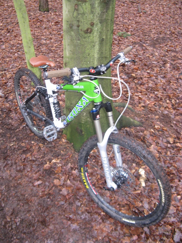 ace woods bike