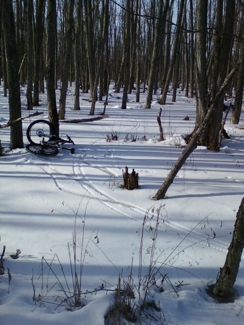 First real full on wipeout of the  year! trying to wind through the trees a little to fast I guess.