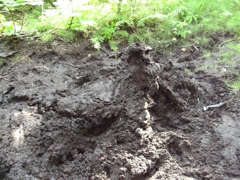 gio at my muddy dirt bike in Salmon Arm, British Columbia, Canada