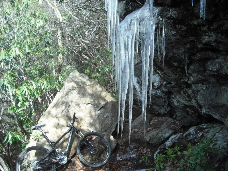 Driver Boys bike "chillin" with some icycles