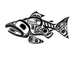Haida salmon