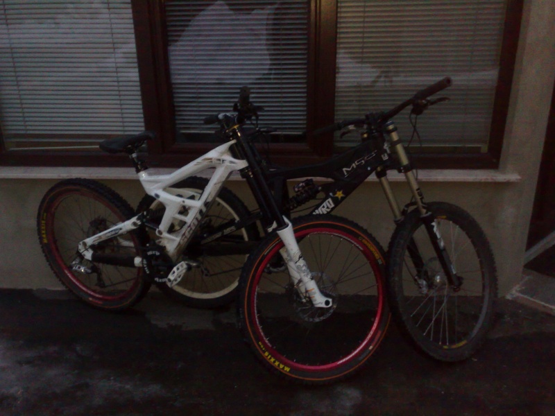 Friends gambler dh 20 and my msc f4