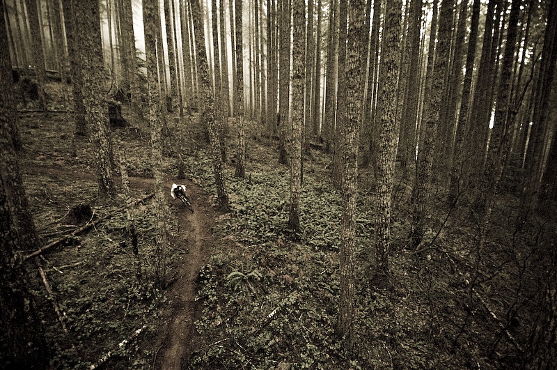 The fruits of the day's labor.