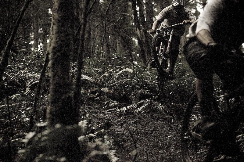 I think my camera was working at the maximum settings just to capture the action. Check out the ASA 12800 digital grain.