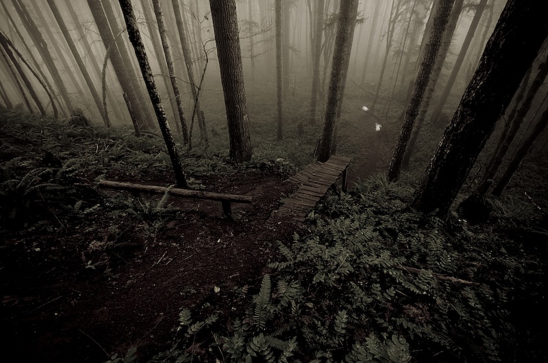 To our complete and utter disbelief the fog was not burning off, like it usually does. And thankfully the riders found the perfect trail for shooting. There was a bit of everything on it. High speed DH sections, ladders, loam, and sick angles for shooting. I think the name of it was Granny's Kitchen.