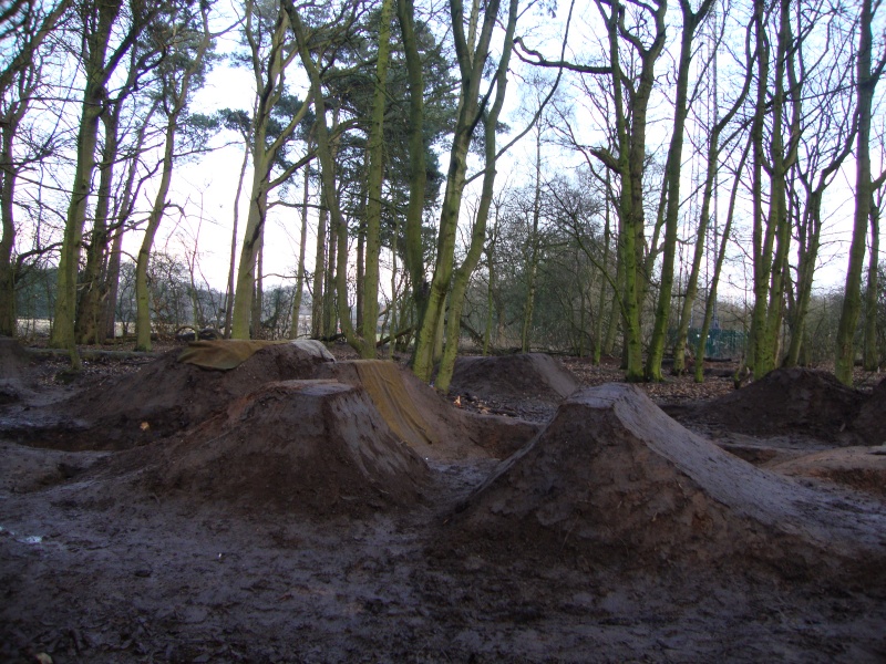 the trails coming on nicely!