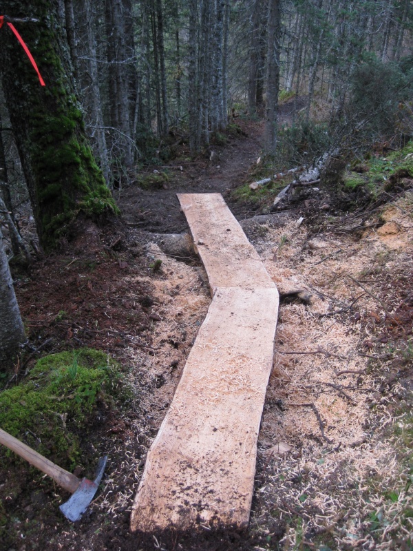 Part of the Wells Trails Nertwork.... following an old Barkerville ditch line.