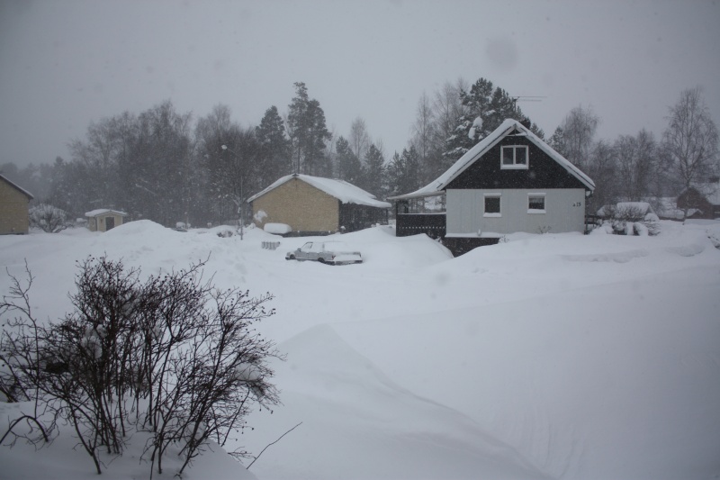 i think everyone in the uk should stop crying about a little snow this is a picture from sweden out side my girlfreinds dads house at the weekend