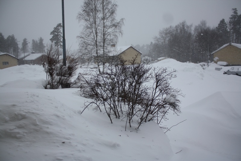 i think everyone in the uk should stop crying about a little snow this is a picture from sweden out side my girlfreinds dads house at the weekend