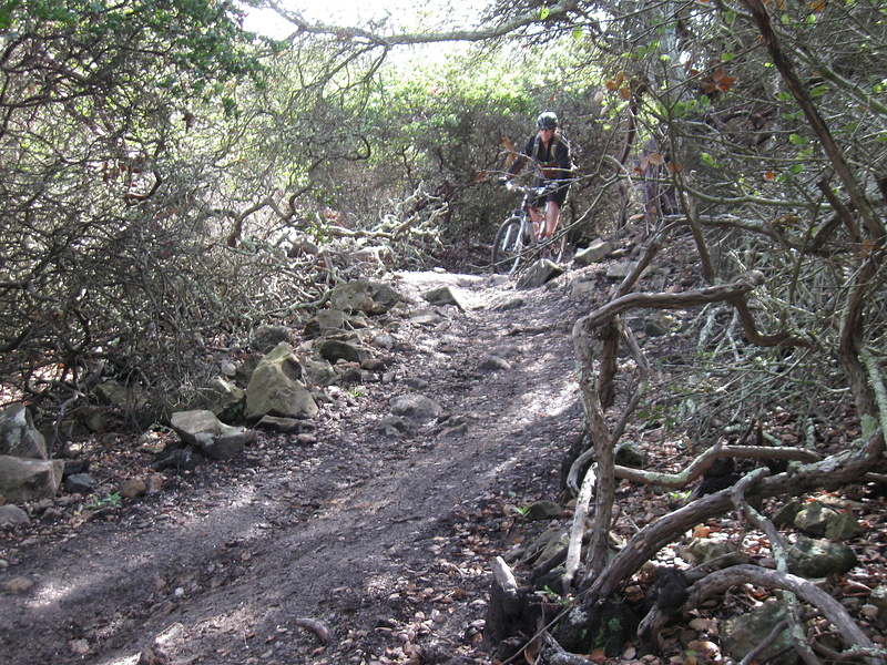 10 Best Mountain Biking Trails in Santa Barbara