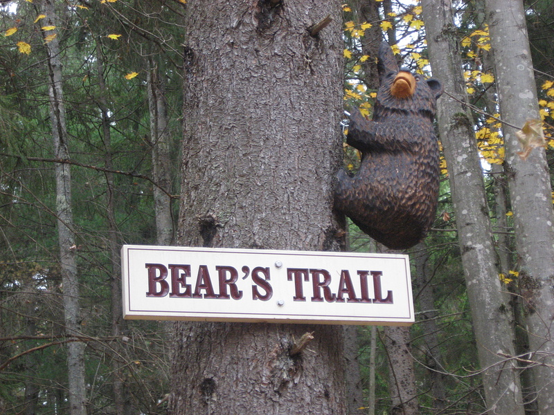 Bear's Trail Sign. The nicest trail sign I've ever seen on public land. This is a memorial trail right in the town of Stowe.