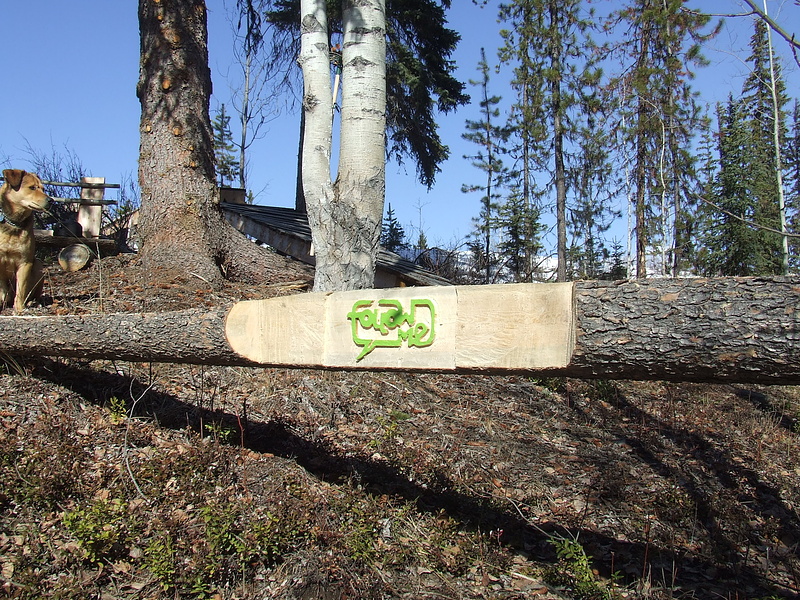 FollowMe Logo carved into skinny log