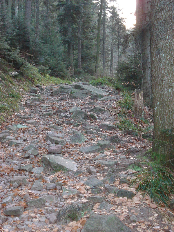 One of my favorite DH Trails and its hardest section. Stones everywhere for the next 1.5km!