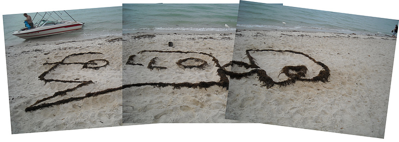 Built a giant follow me logo out of sea weed. Turned out to be so large that getting a decent picture of it wasn't easy...
