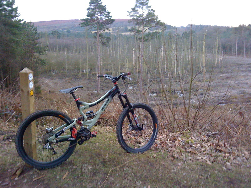 my sx at delamere