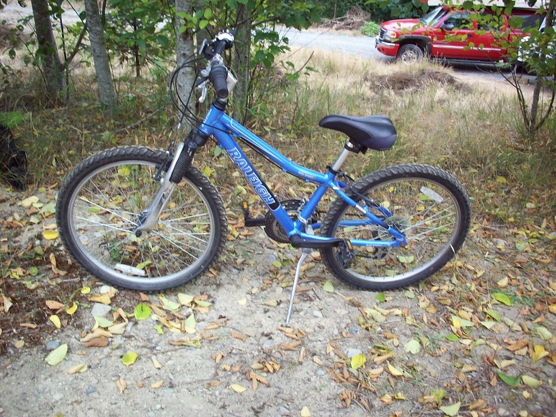 raleigh 24 inch bike
