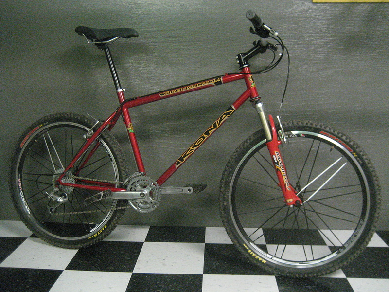 bullhorn bike
