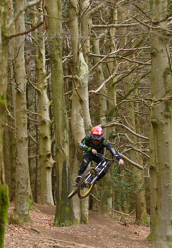 long grab shot of ant through the trees.