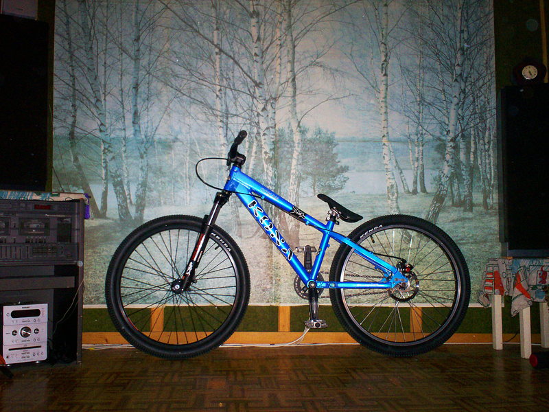 custom dirt jump bike