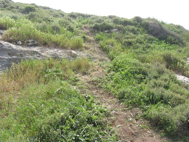 building a new steep trail from scratch...........lines