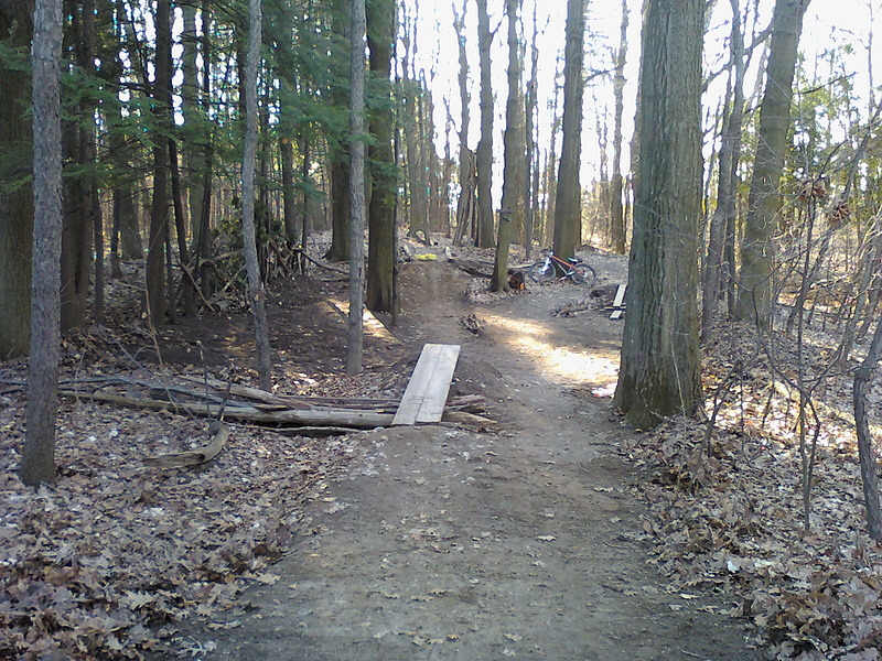 The local forest dirt jumps and trails. Not 100% done, but soon!
