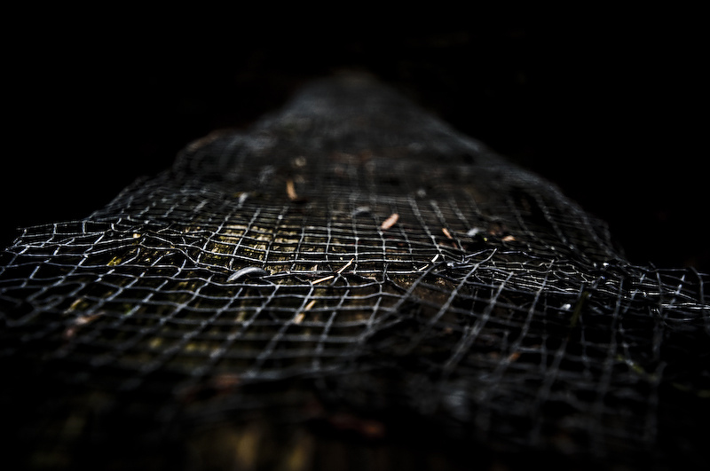 Knowledge in working with chicken wire will get you far at this place.