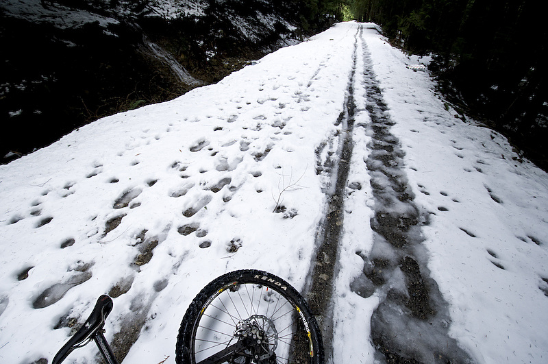 Ok, so there was a little snow for a week in February. But hey, usually right here at this time of year there's like five feet of snow. This little dusting didn't deter shit.
