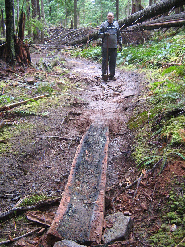 After the armoured section is an old burnt section of cedar to bridge a soggy hole and roots.