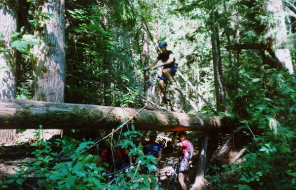 One of the many logs on this really cool trail