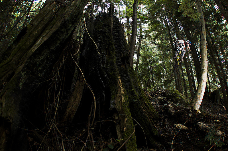 Mmmm, maybe a little tight on the landing, but she's still tasty.