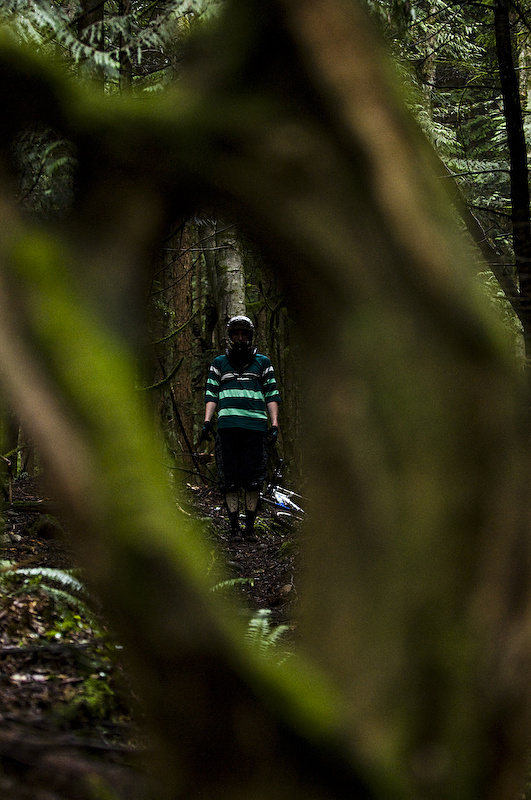 Ross Measures through the eye of the needle.