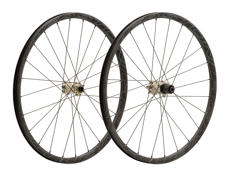 carbon wheelset 29