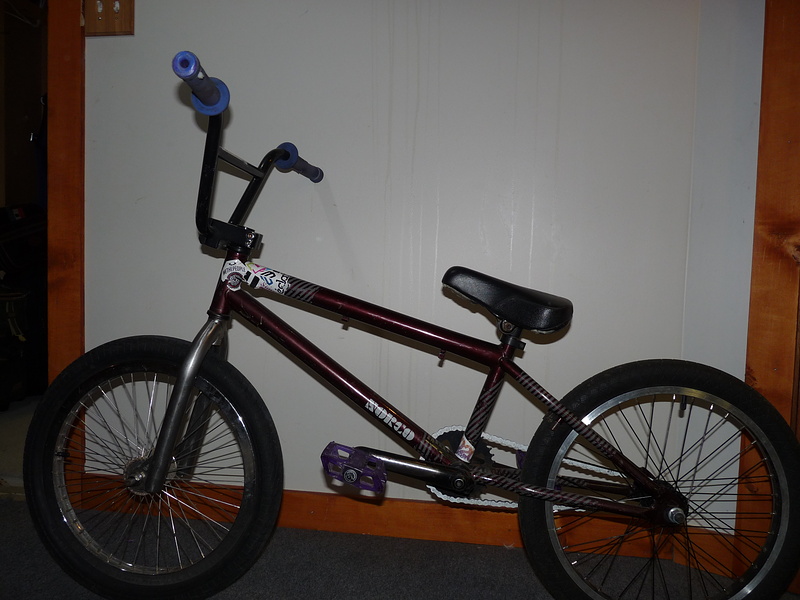 Norco shop volt bmx