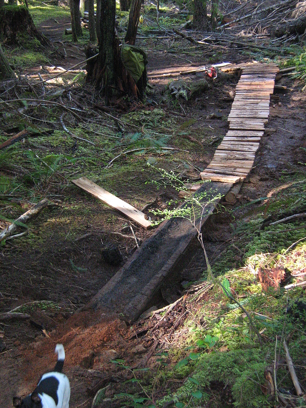 39 ft long raised ceadr bridge with an old burnt out section at the end. Did you know burnt cedar is very grippy?